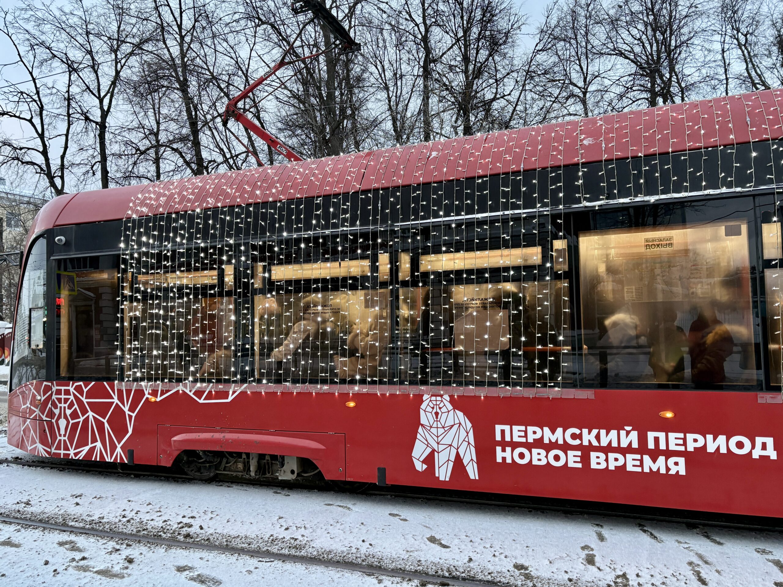 Фото: В курсе.ру