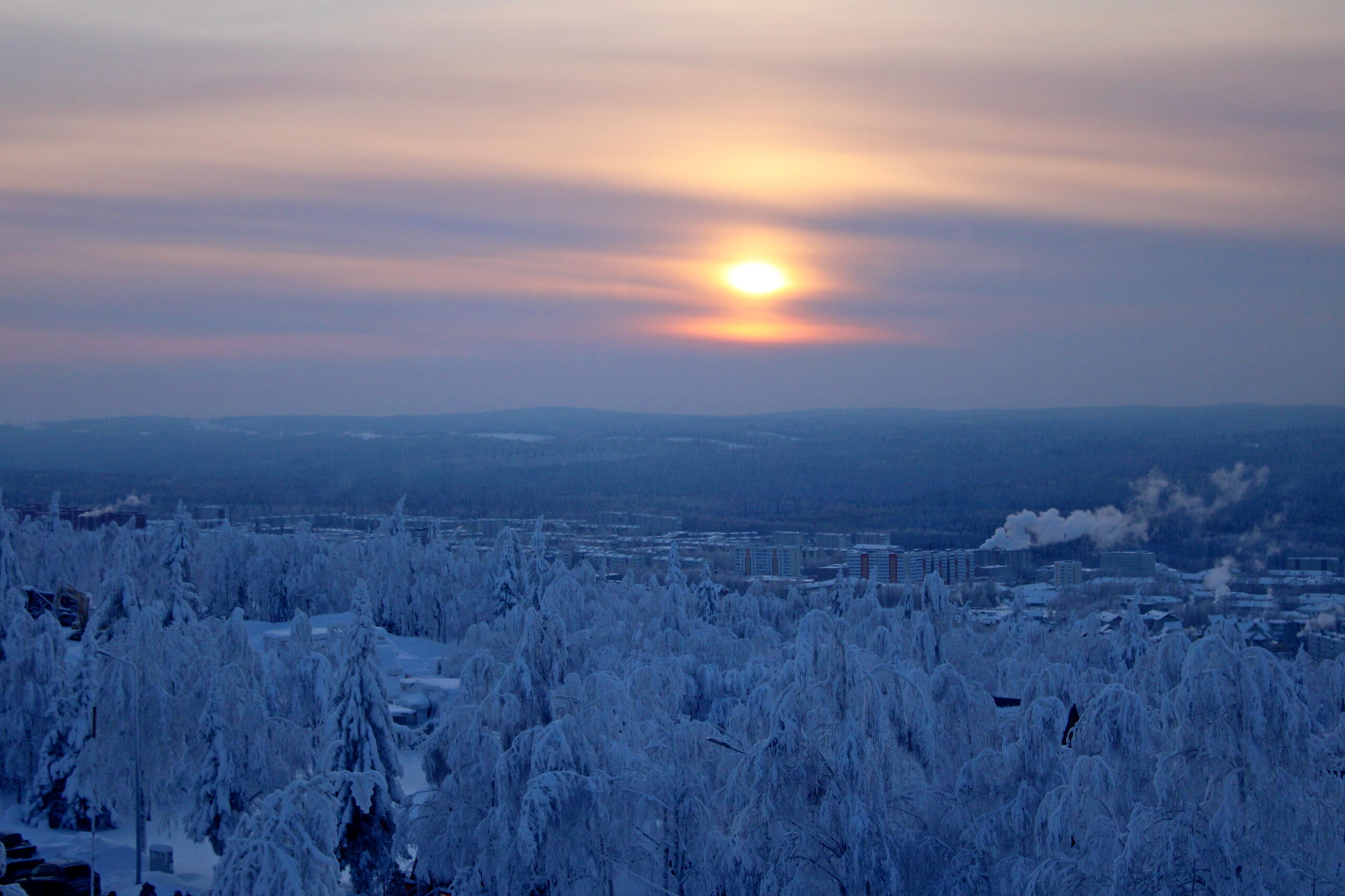 Фото: В курсе.ру