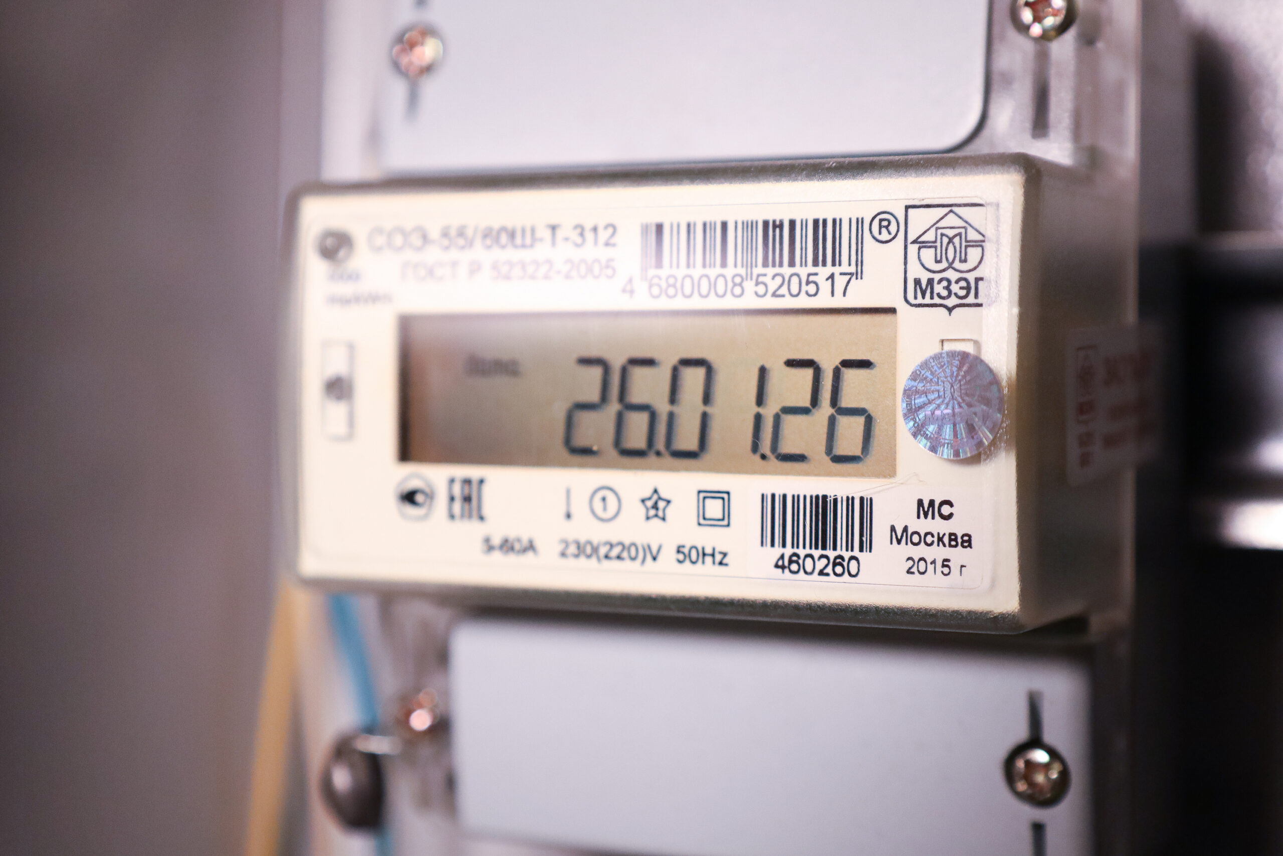 Фото: Елена Майорова