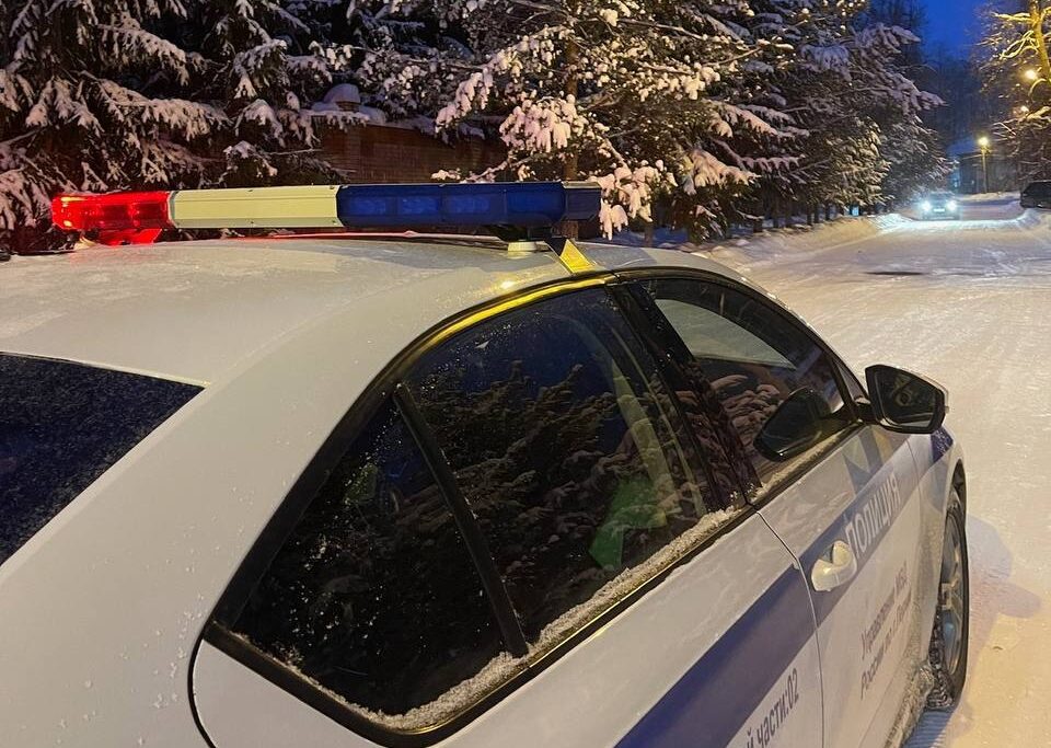 Фото: Госавтоинспекция Перми