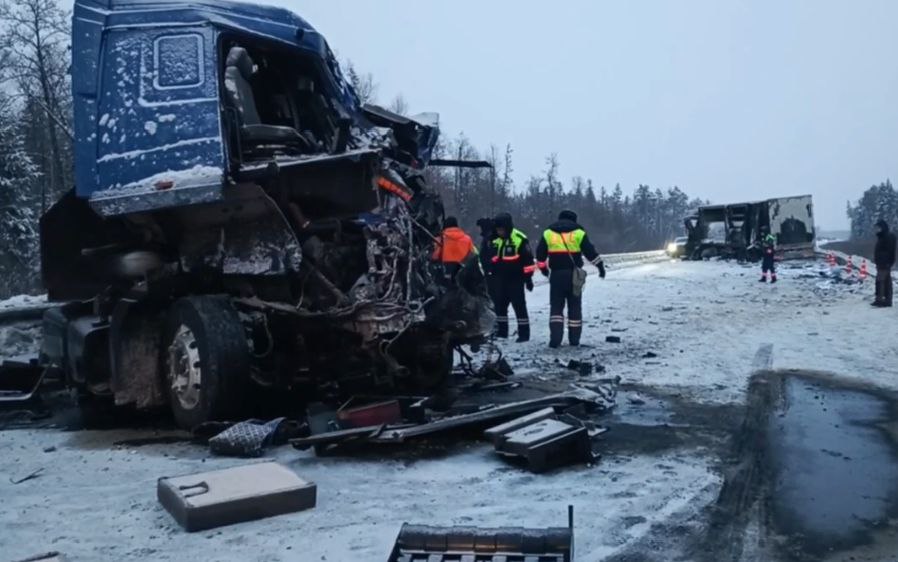 Фото: Госавтоинспекция Прикамья/ТГ