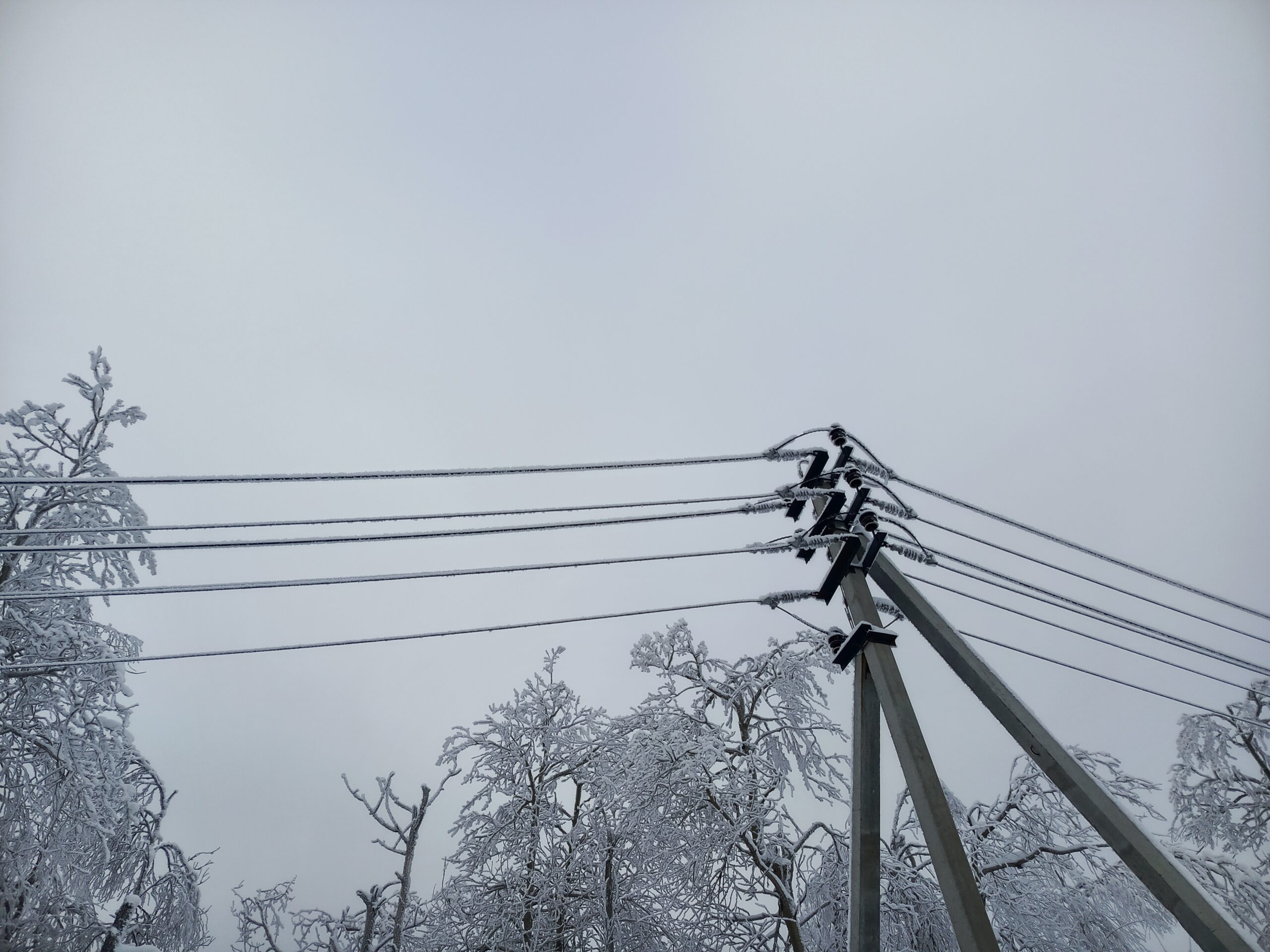 Фото: В курсе.ру