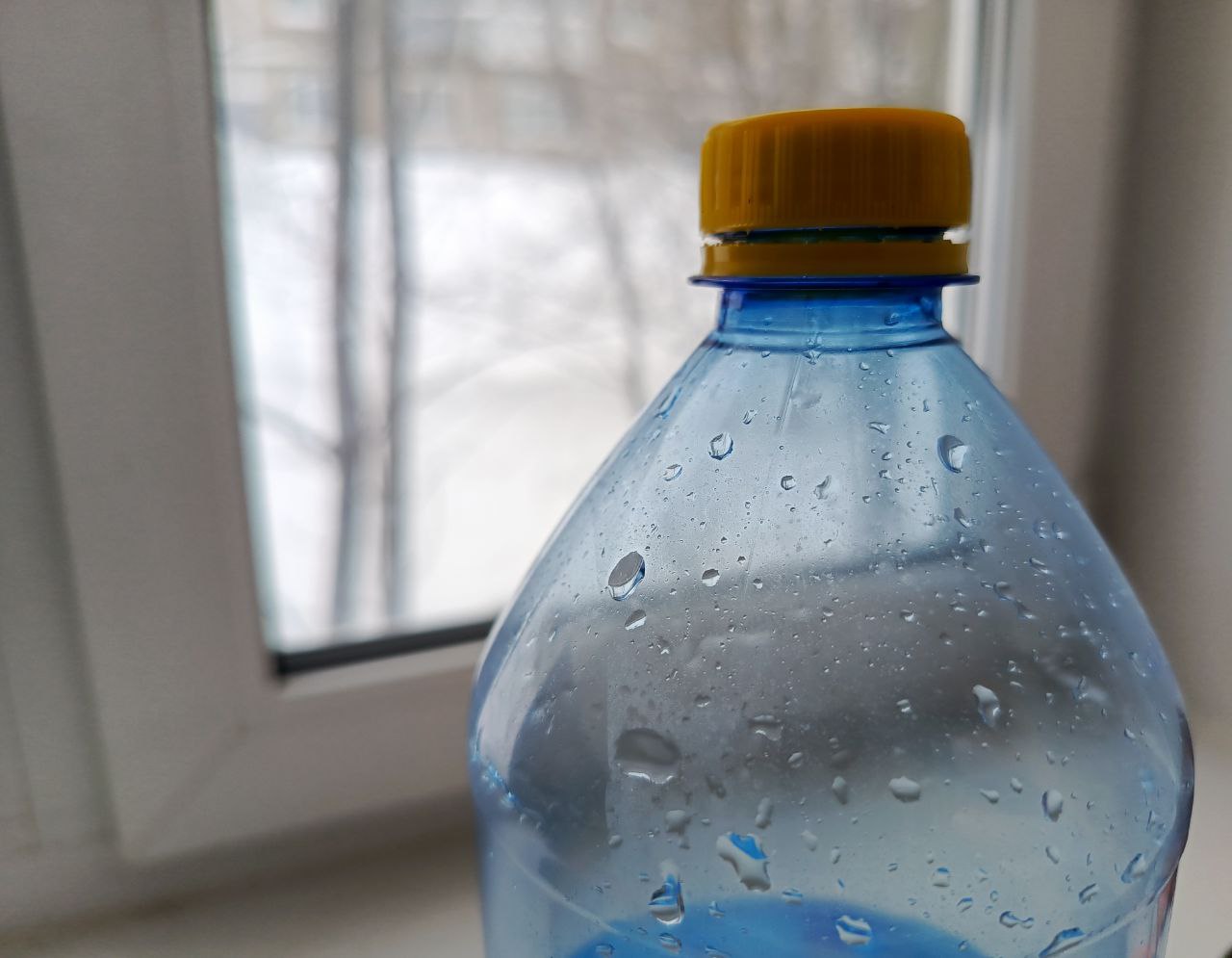 Фото: В курсе.ру