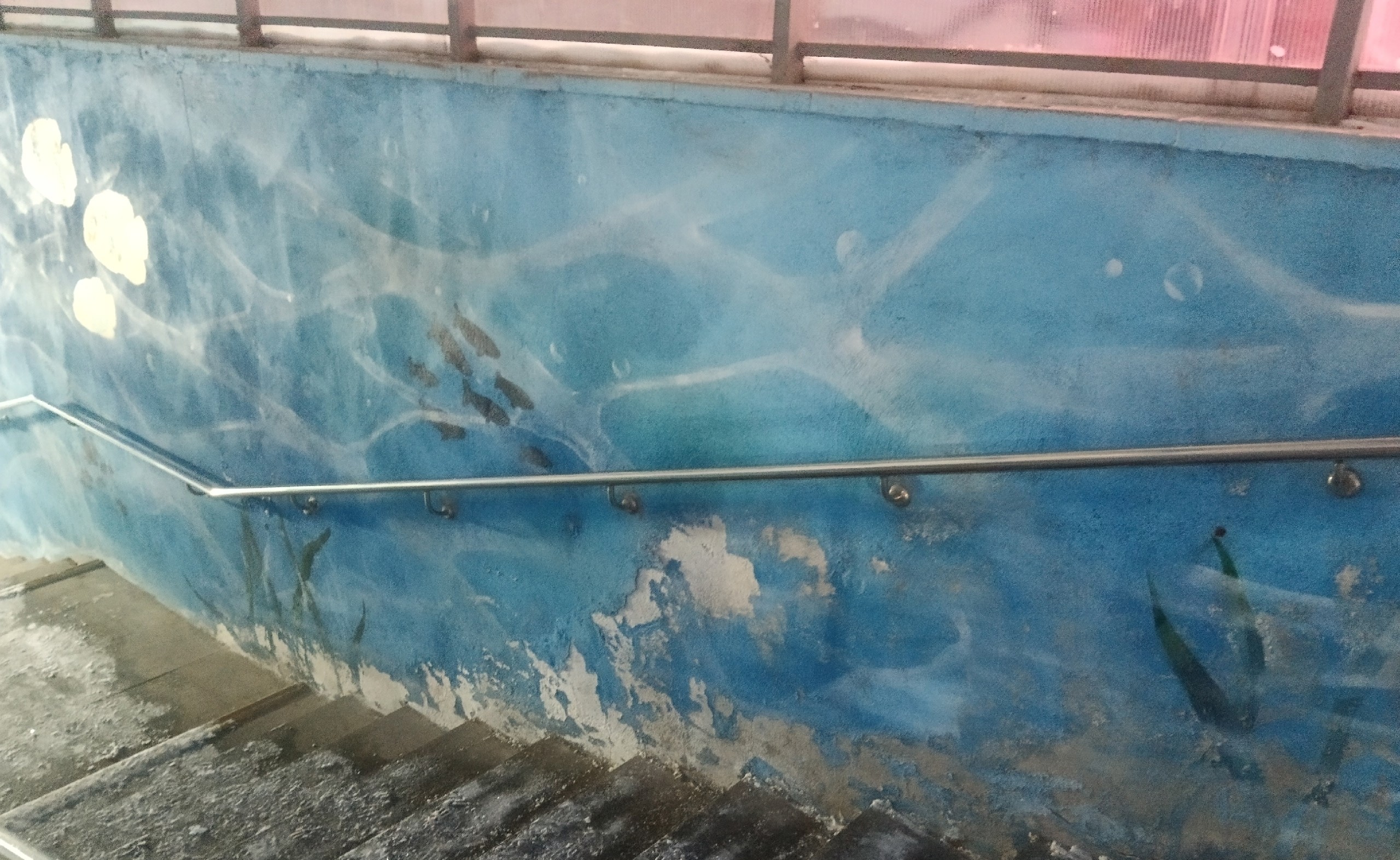 Фото: Сергей Сюзев/VK