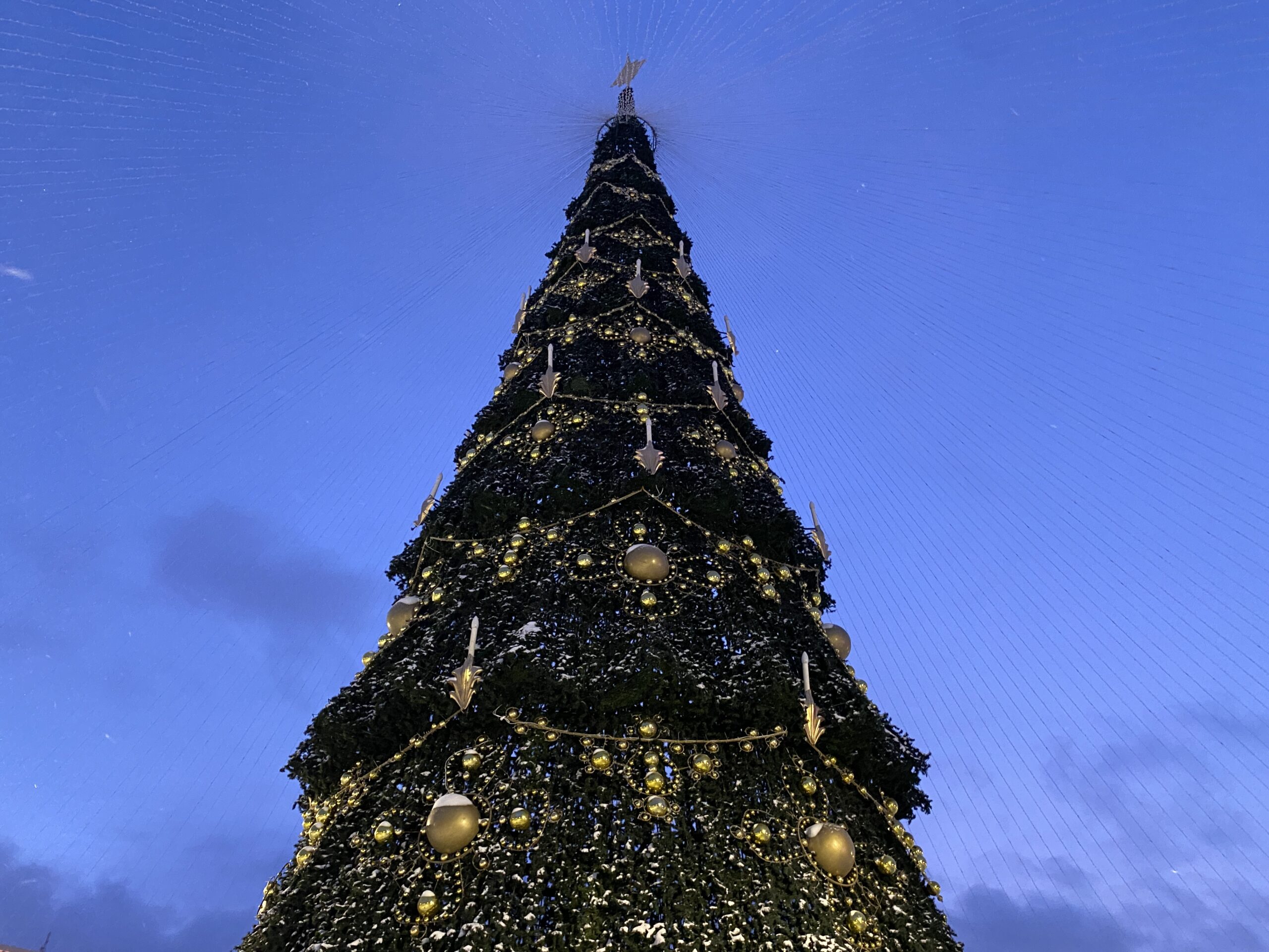 Фото: В курсе.ру