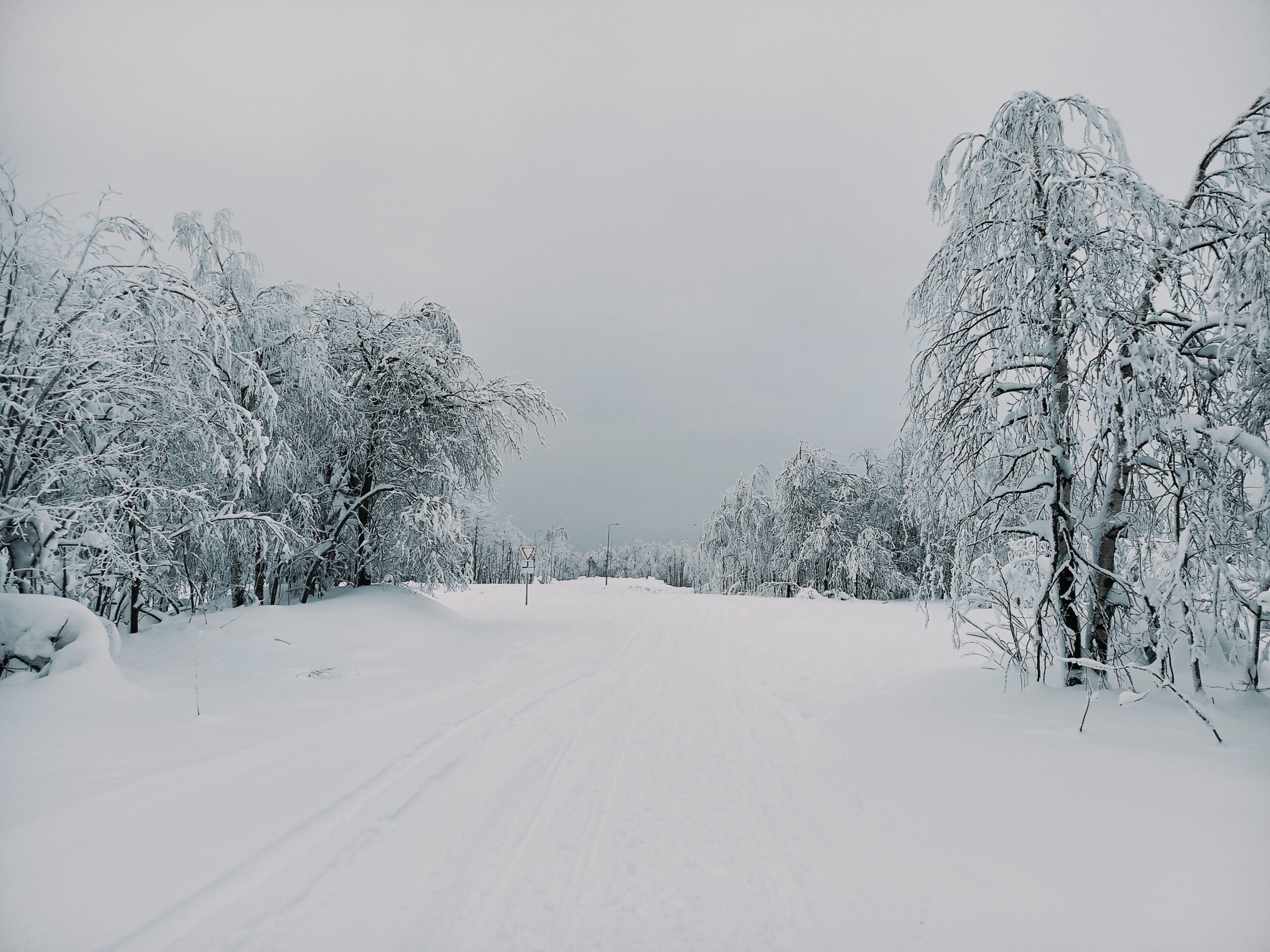 Фото: В курсе.ру