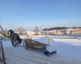 Фото: предоставлено очевидцами