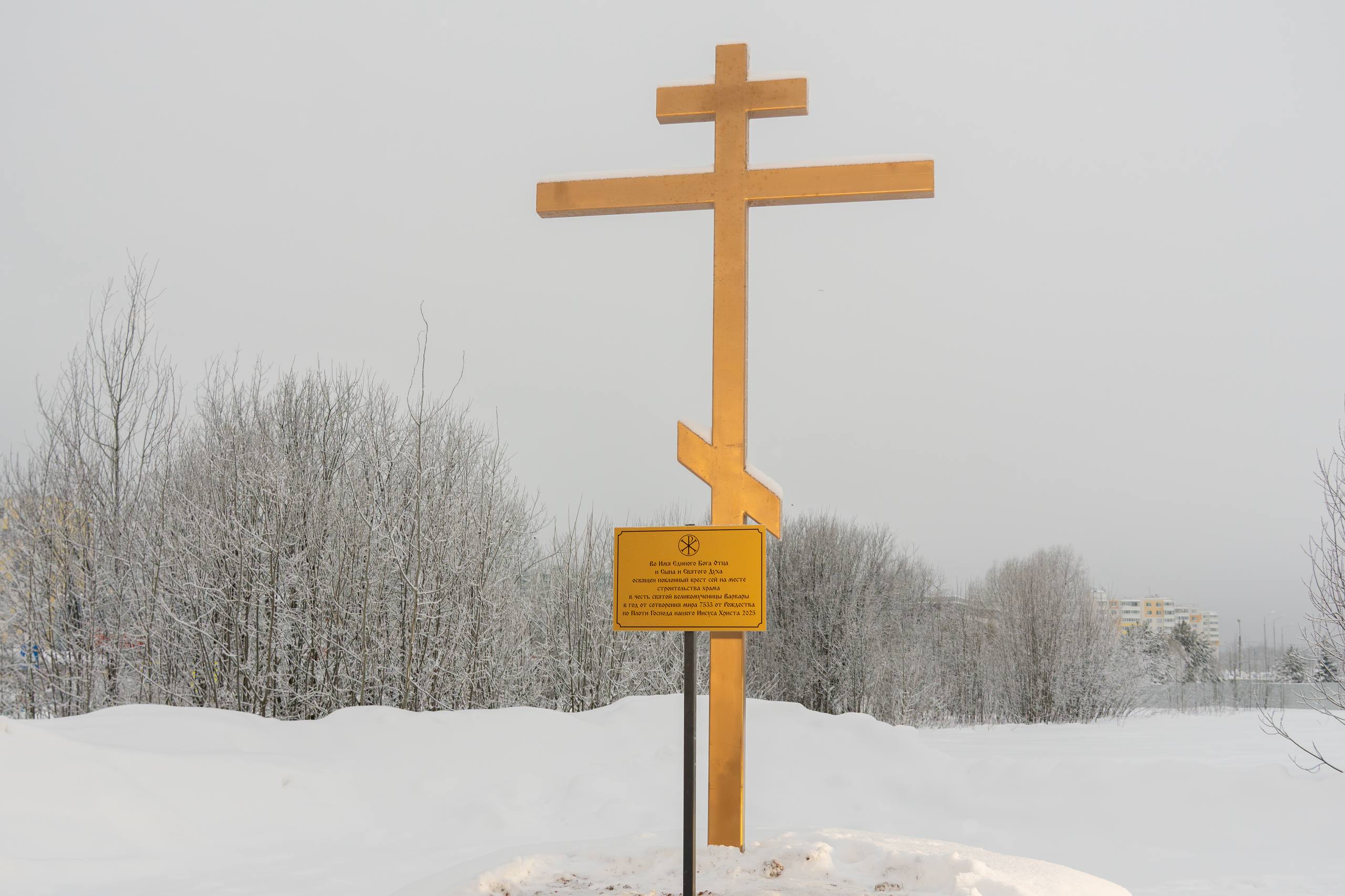 Фото: Глава Березников/ТГ