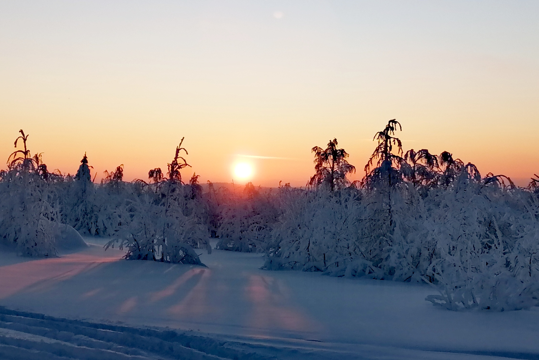 Фото: В курсе.ру