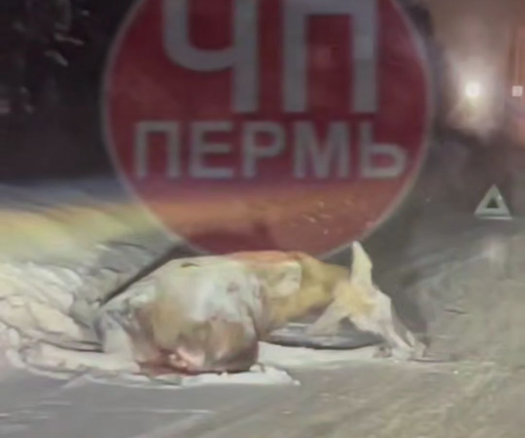 Фото: ЧП Пермь/ТГ