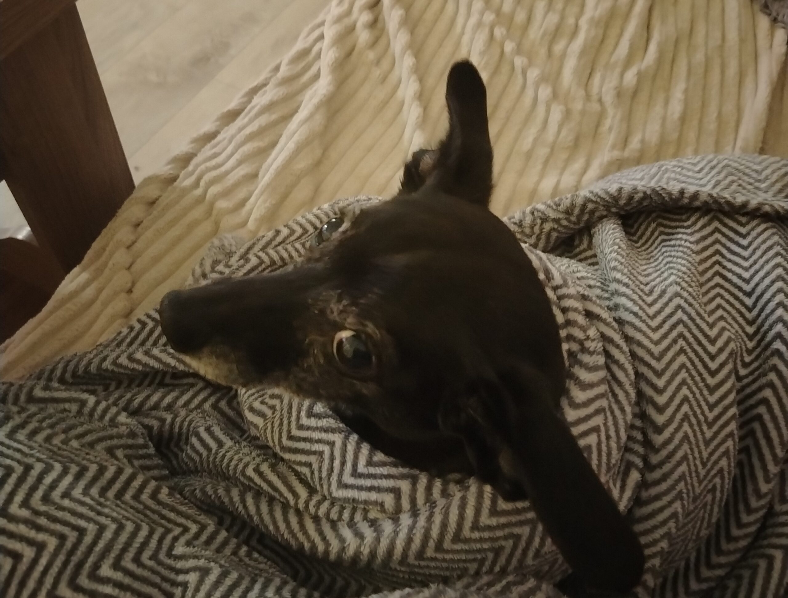 Фото: В курсе.ру