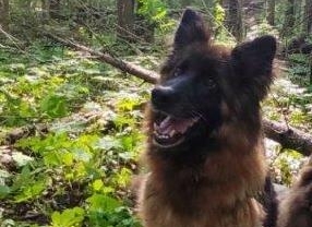 Фото: ГУФСИН Прикамья/VK