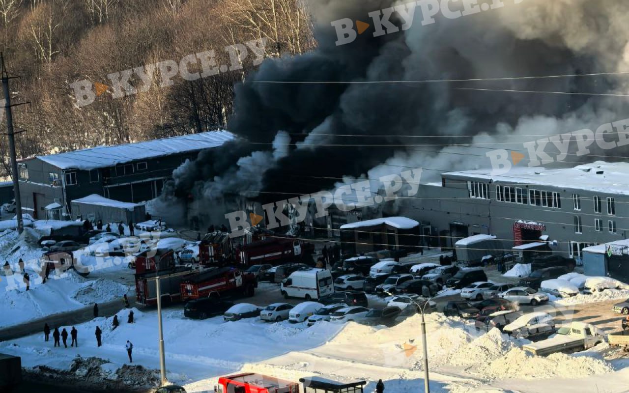 Фото: В курсе.ру