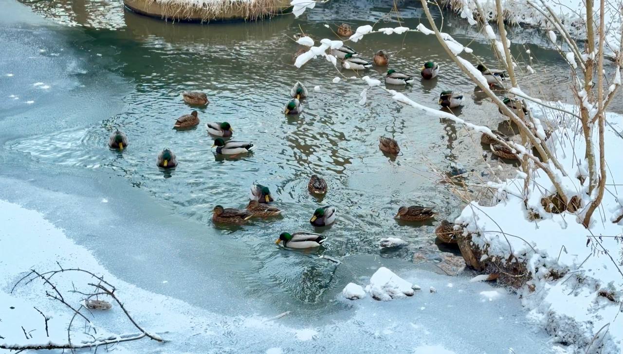 Фото: В курсе.ру