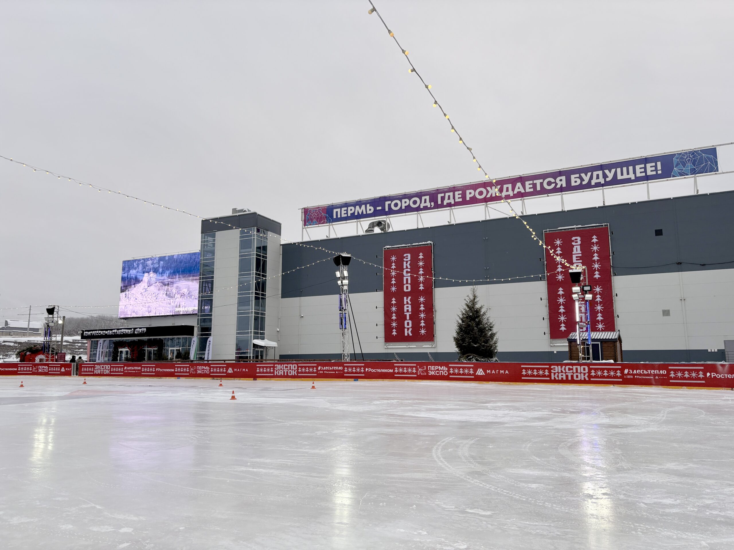 Фото: В курсе.ру