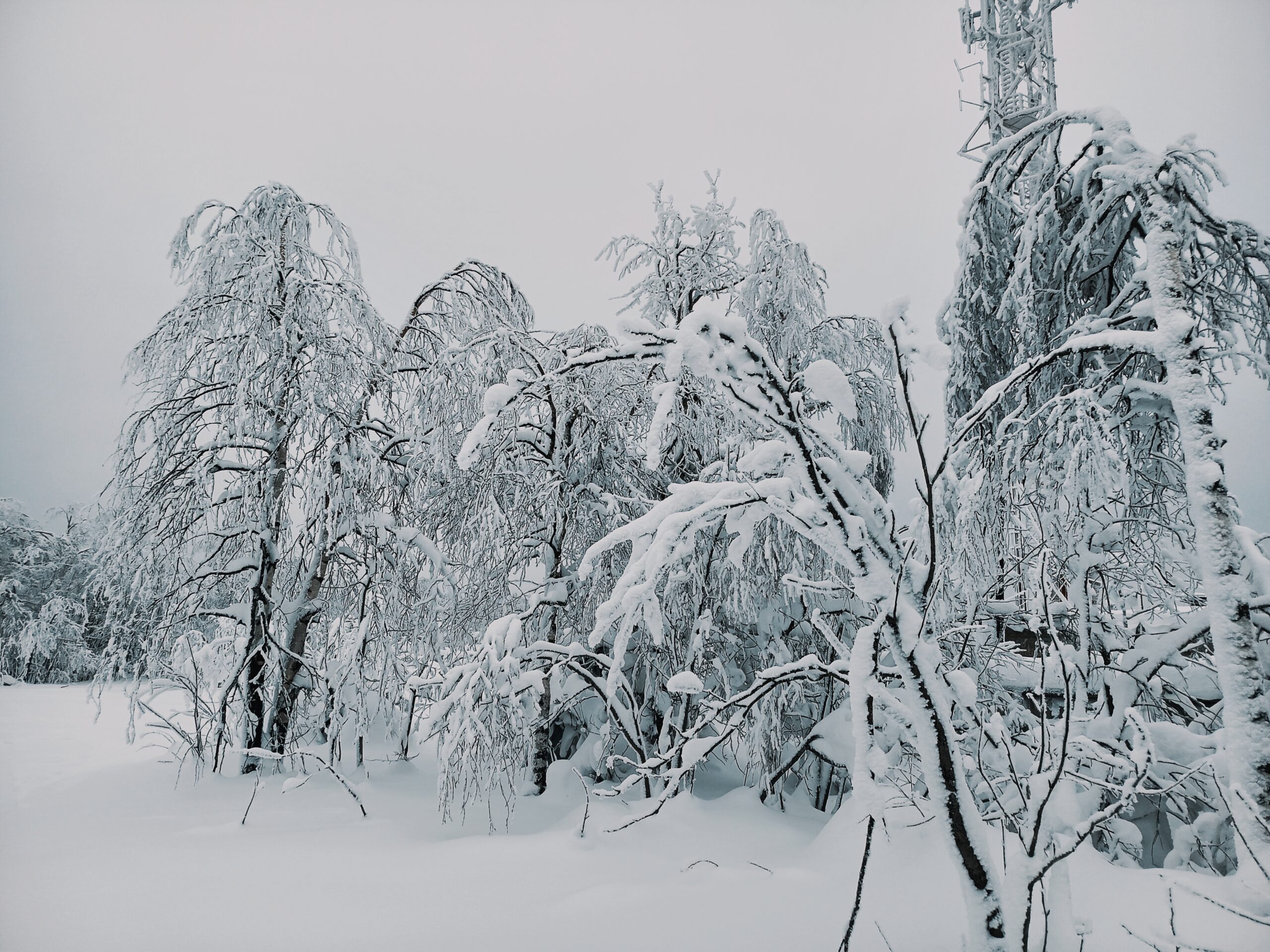 Фото: В курсе.ру