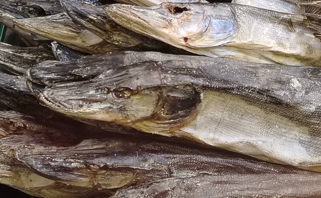 Фото: v-kurse.ru 