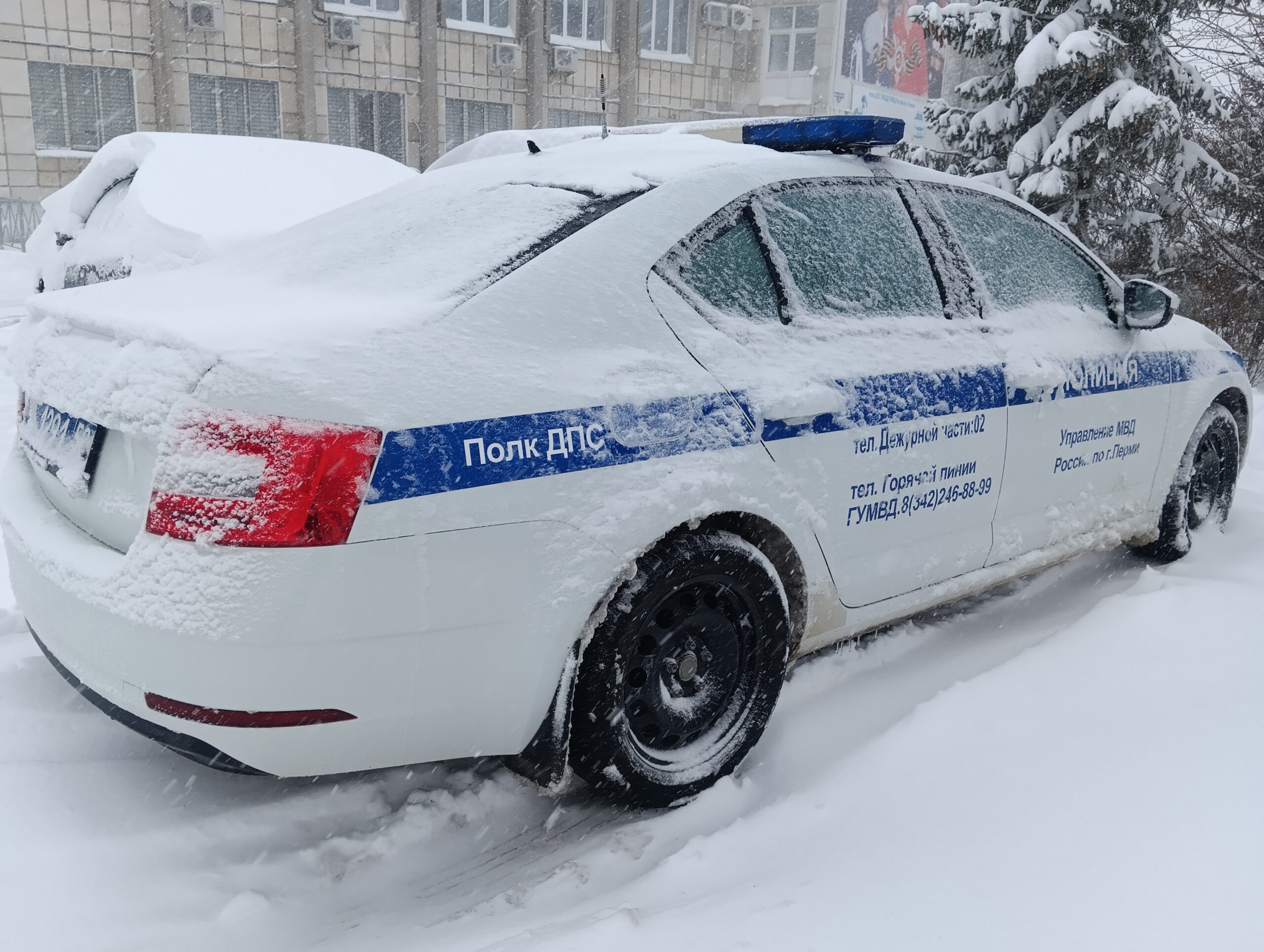 Фото: В курсе.ру 