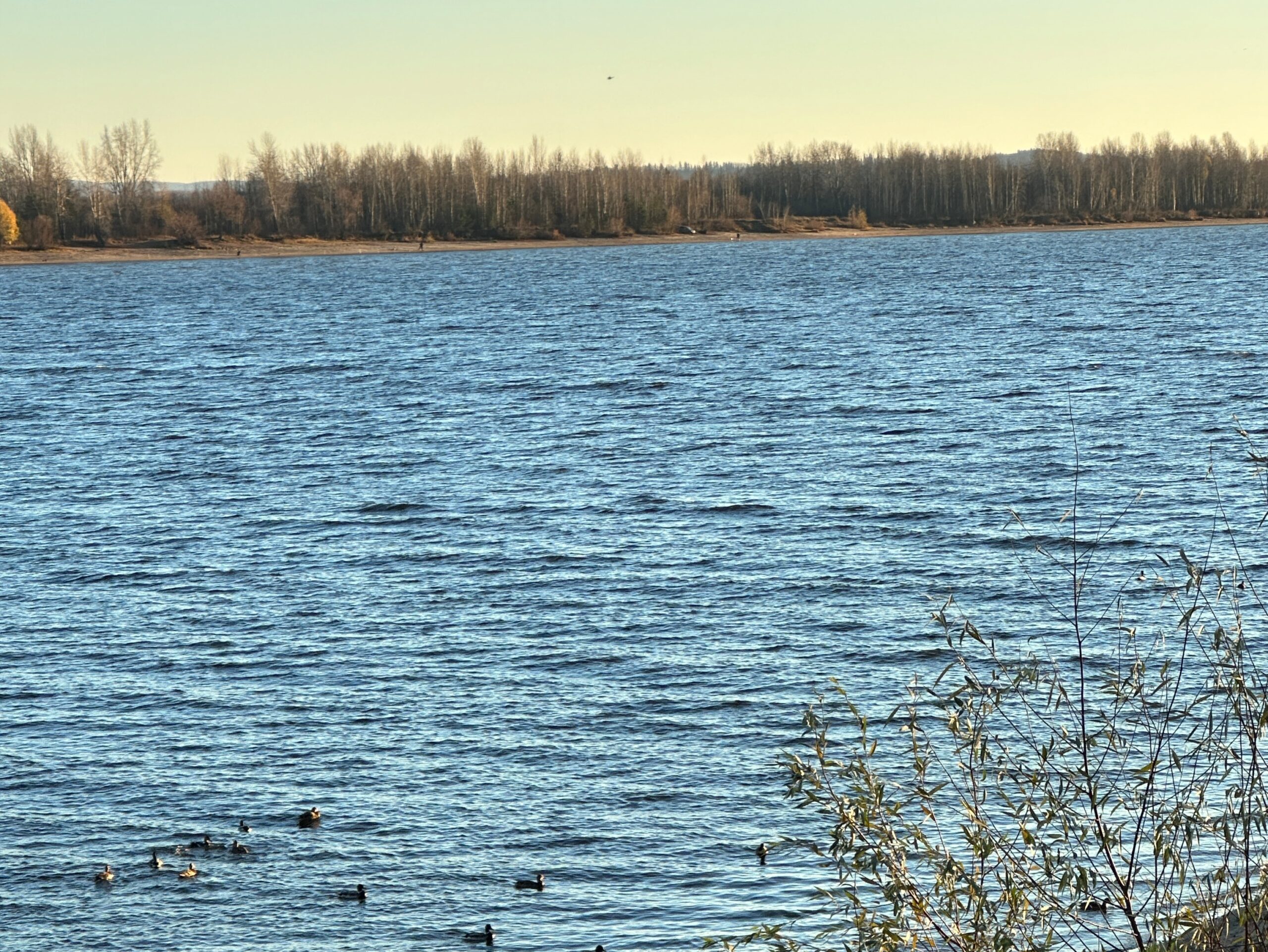 Фото: В курсе.ру