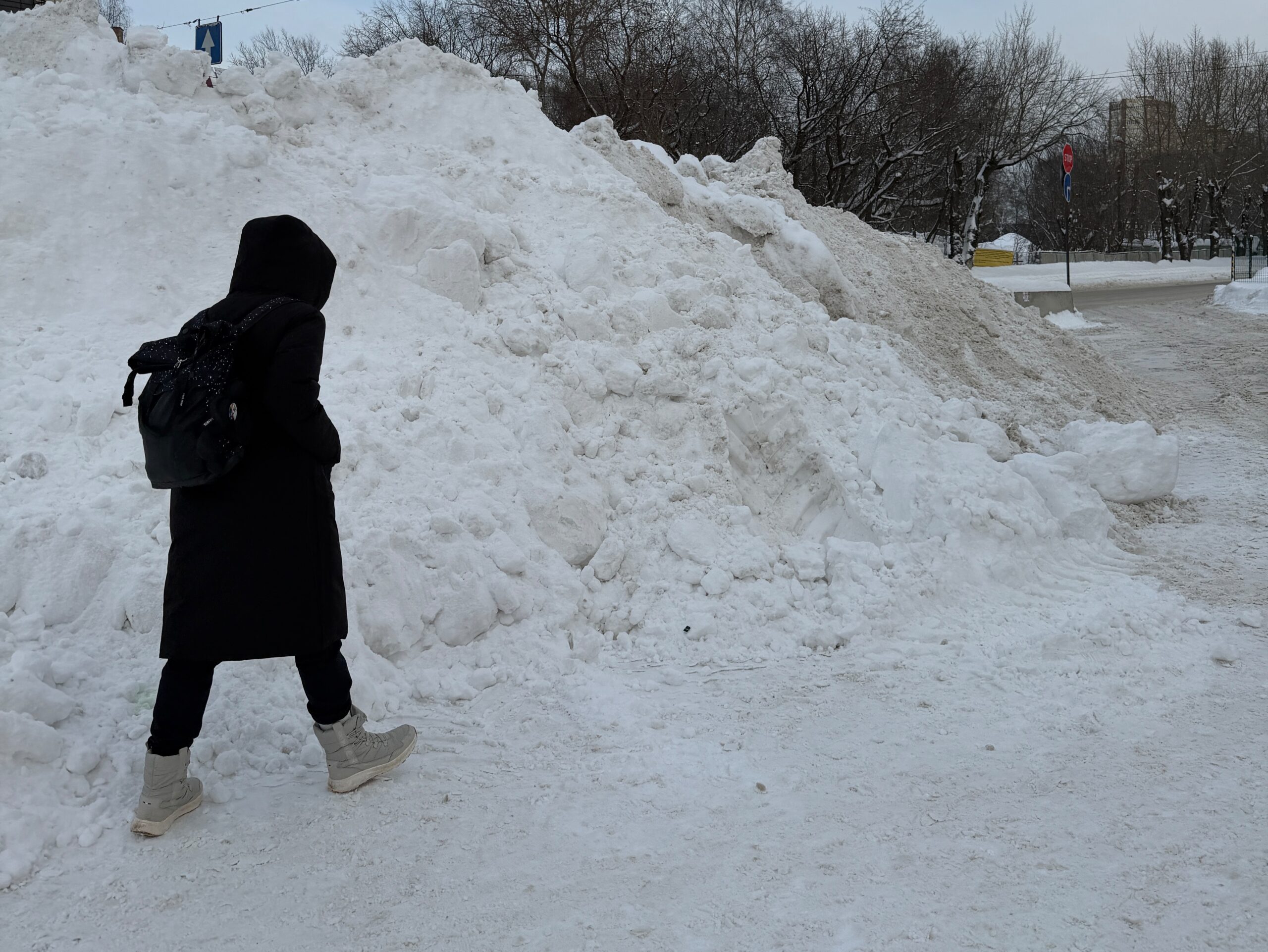 Фото: В курсе.ру 