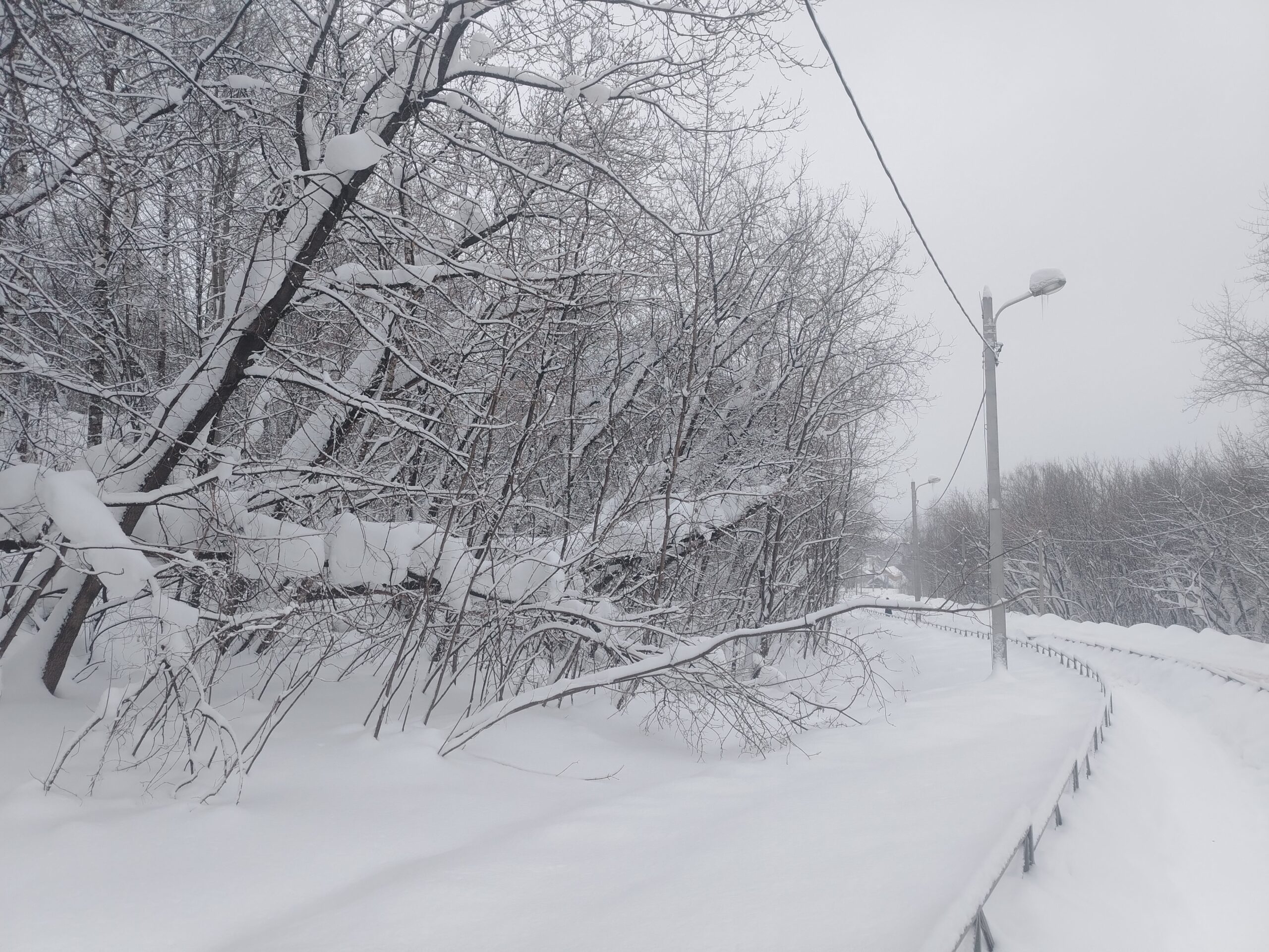 Фото: В курсе.ру 