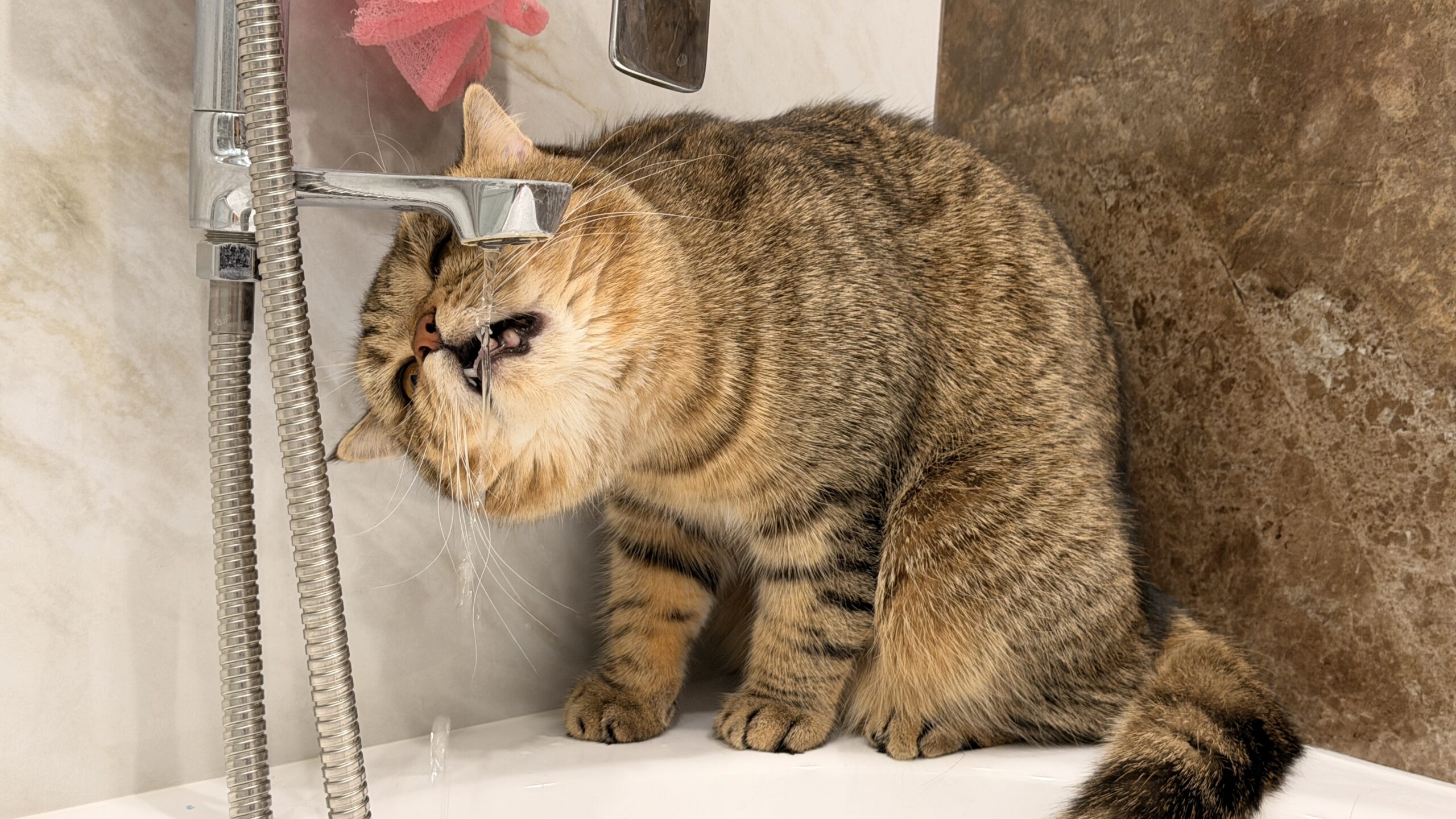 Фото: В курсе.ру 