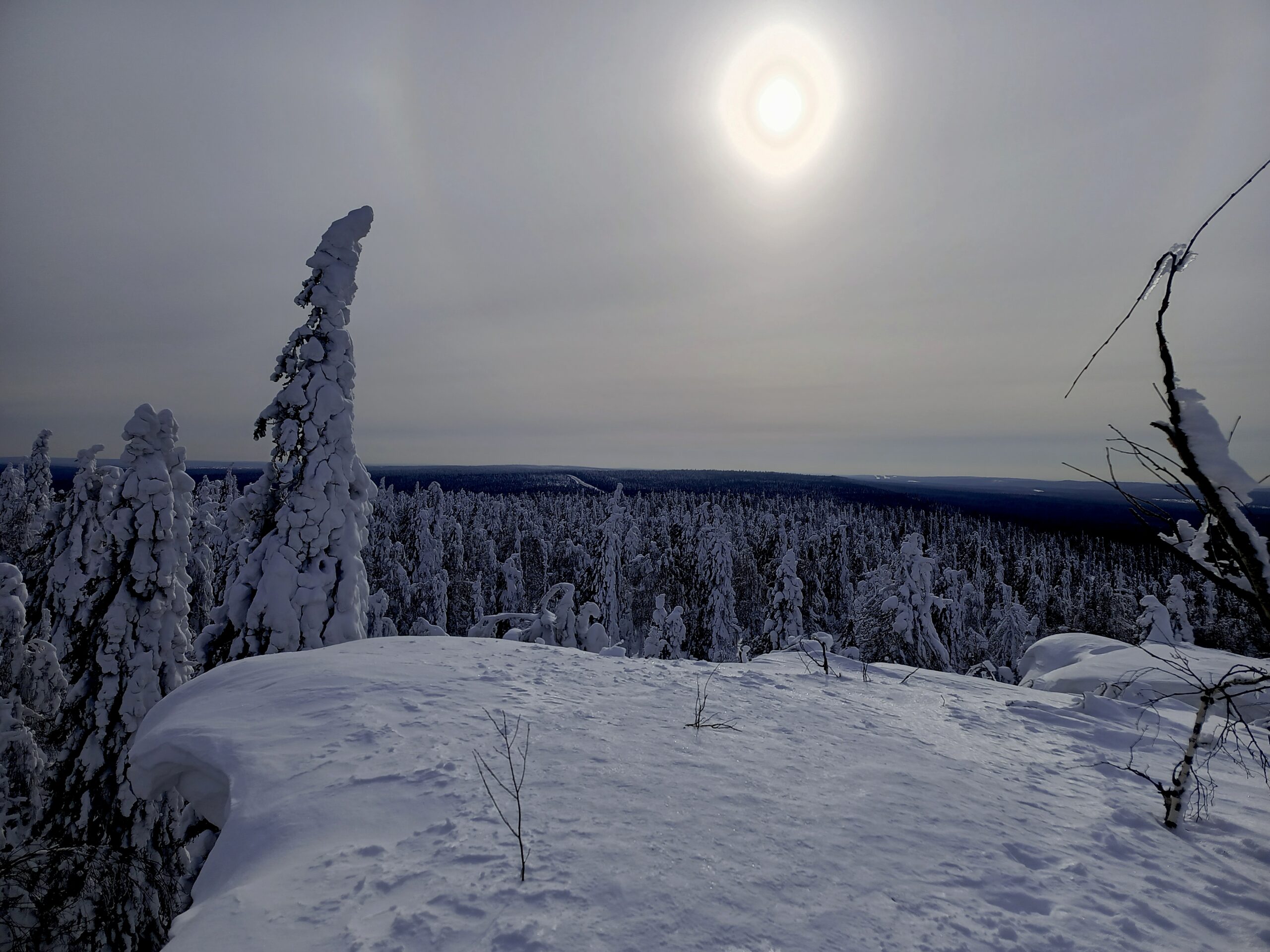 Фото: В курсе.ру 