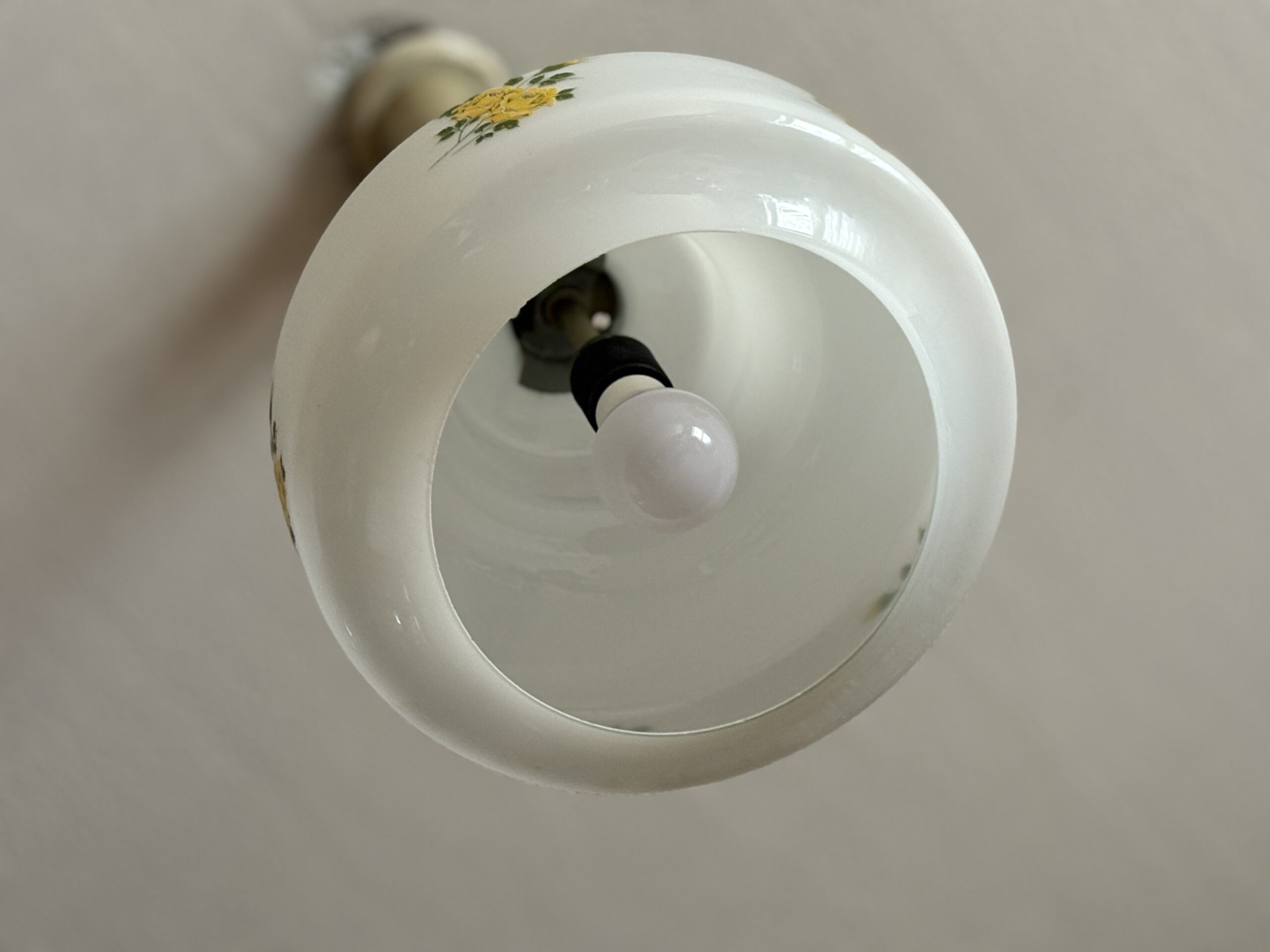 Фото: v-kurse.ru