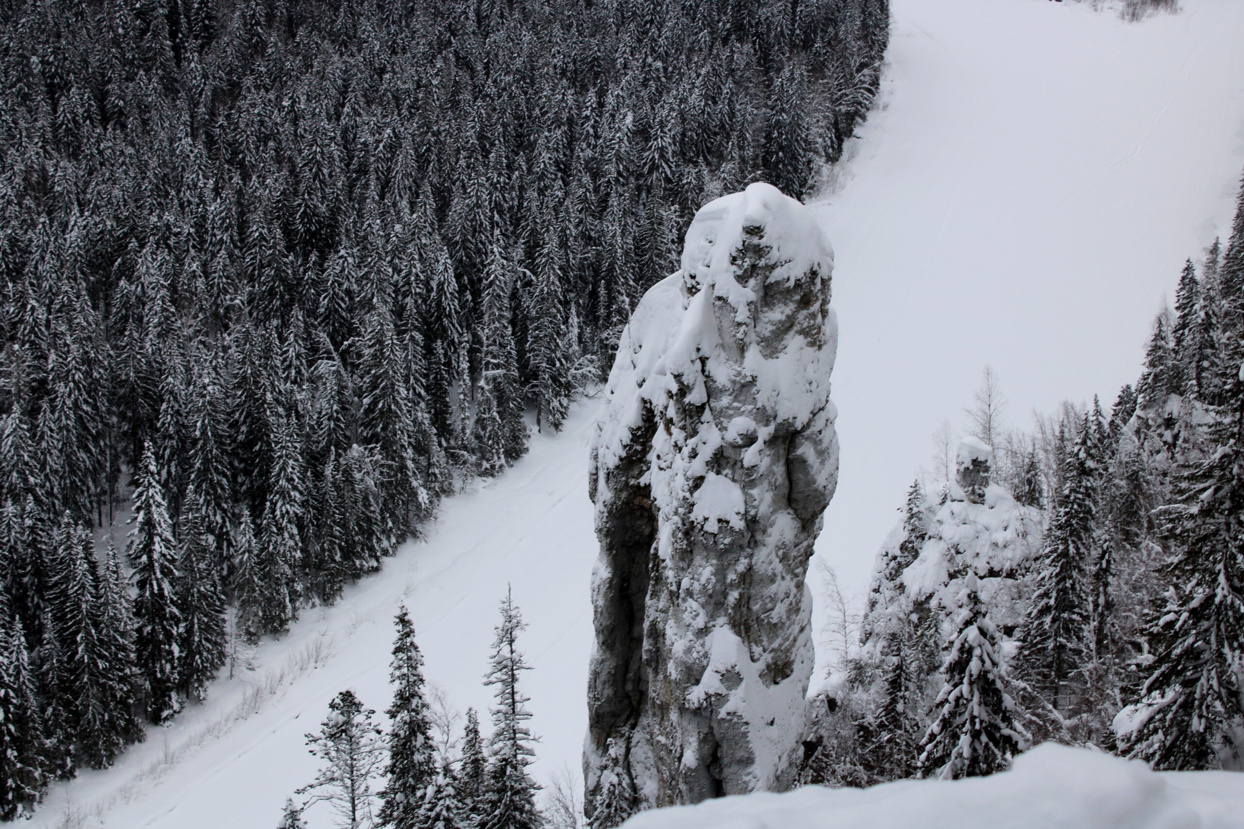 Фото: v-kurse.ru 