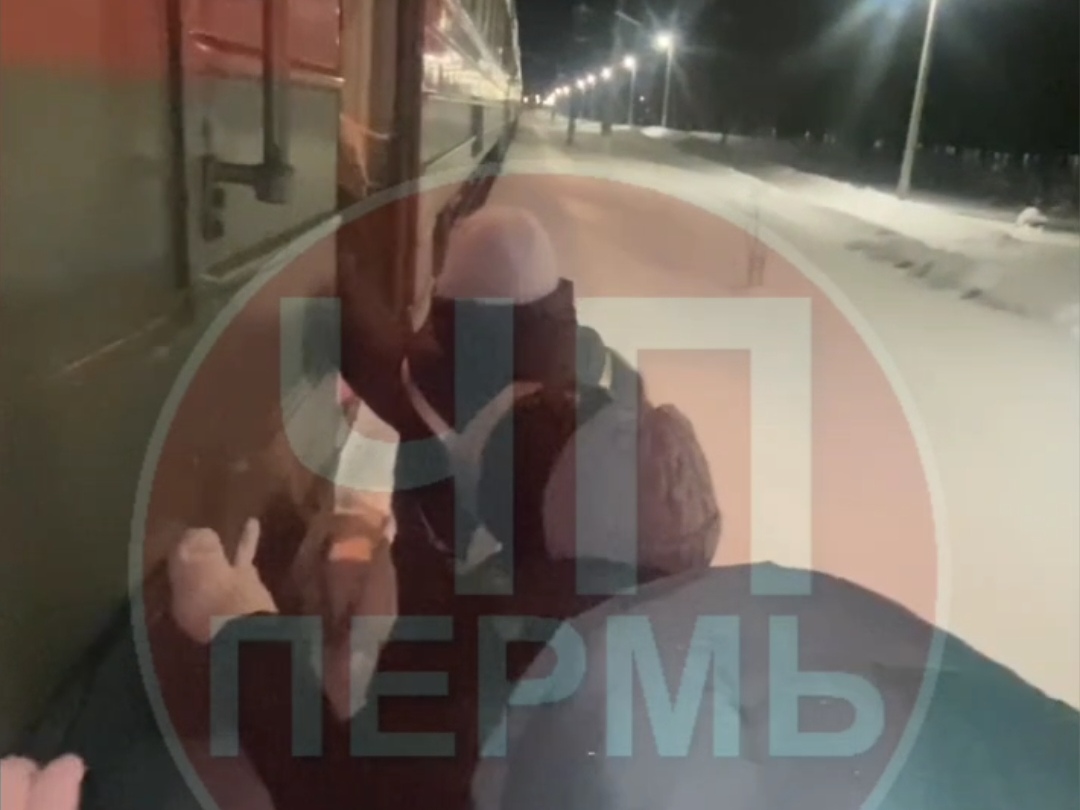 Фото: ЧП Пермь / ТГ