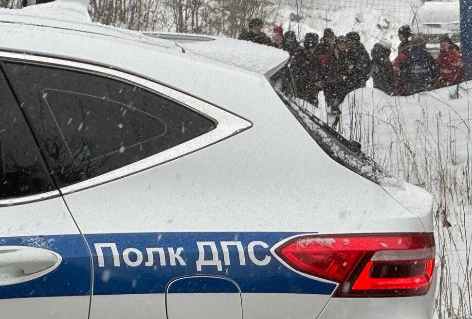 Фото: В курсе.ру