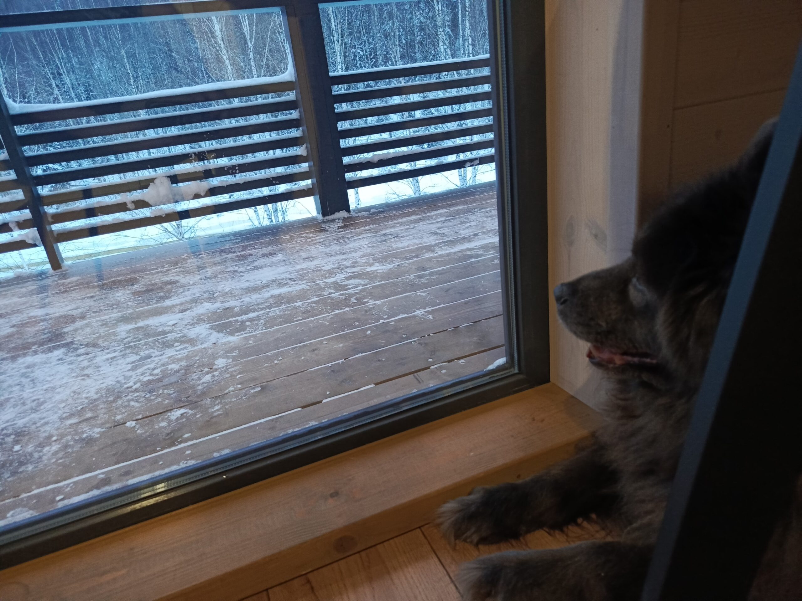 Фото: В курсе.ру