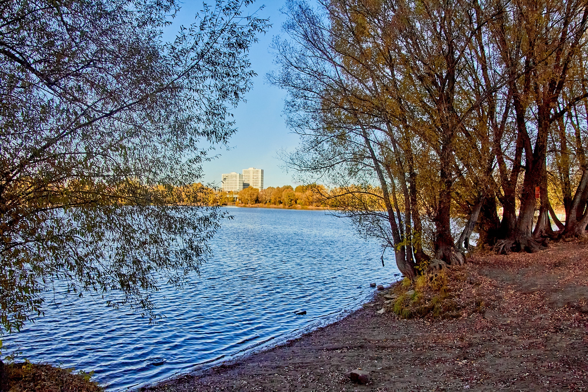 Фото: ГорЗеленСтрой/VK
