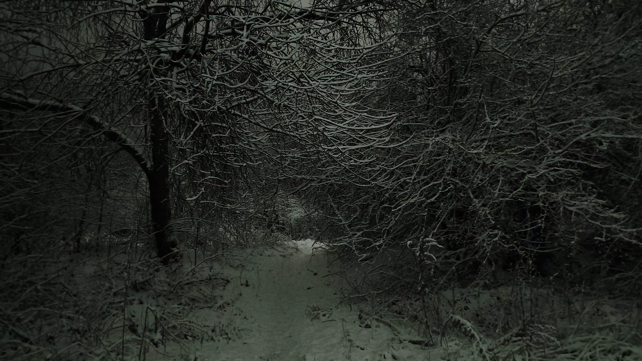 Фото: В курсе.ру