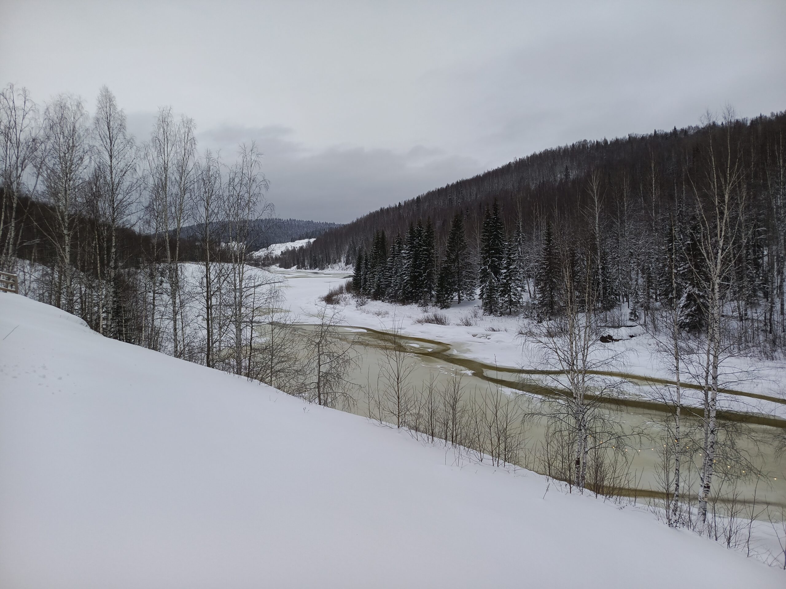 Фото: В курсе.ру