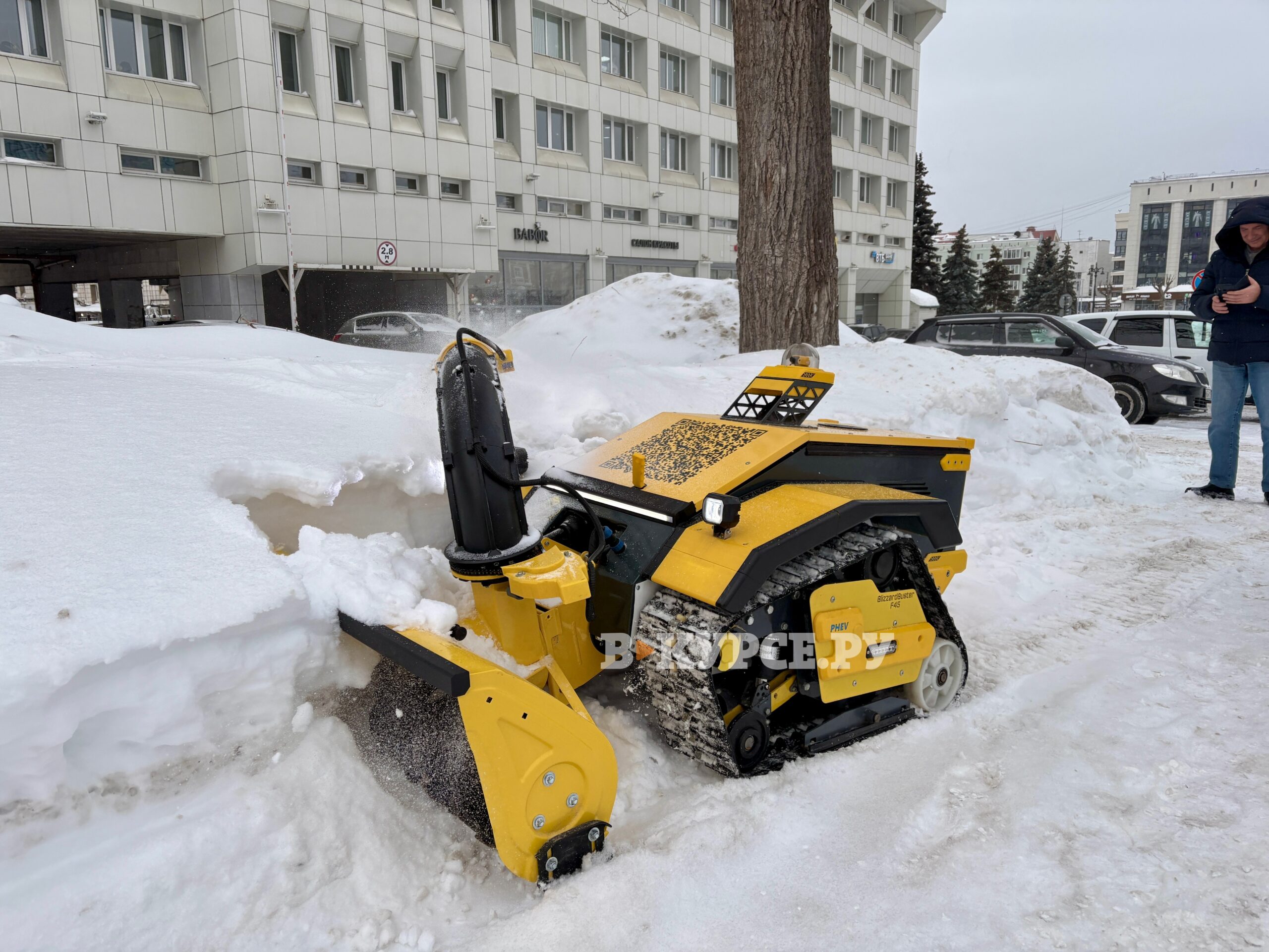 Фото: В курсе.ру