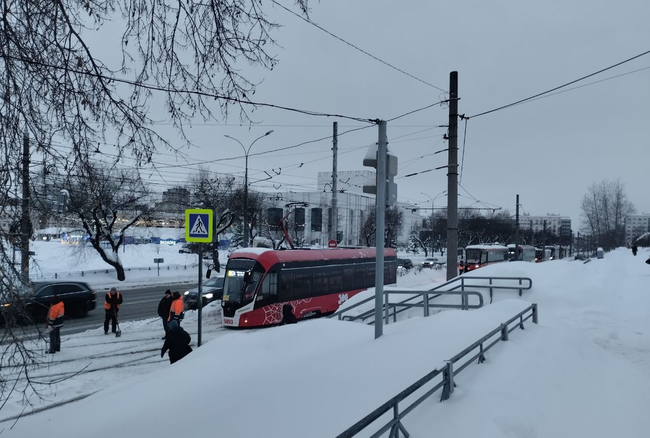 Фото: В курсе.ру