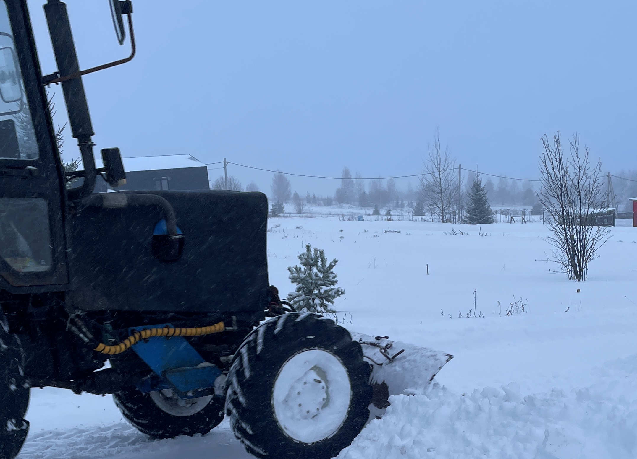 Фото: В курсе.ру