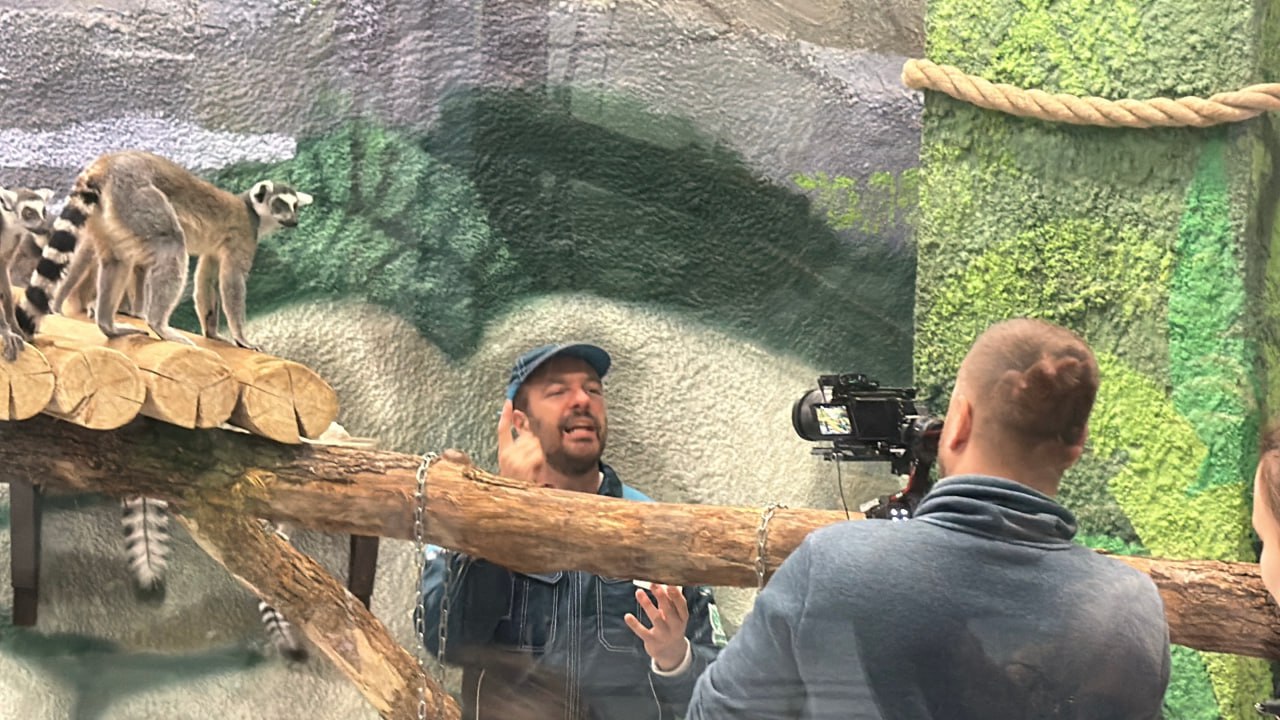 Фото: Пермский зоопарк